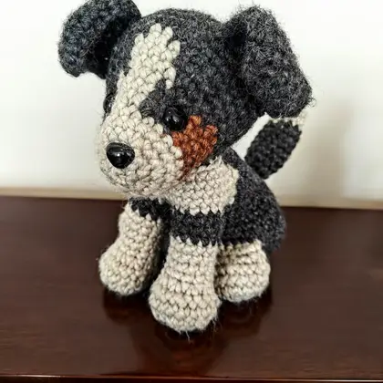 Bailey the Border Collie Ghost