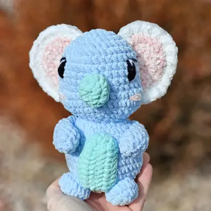Koazy seated against a neutral background